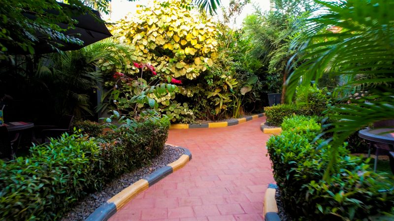 Garden path through the grounds