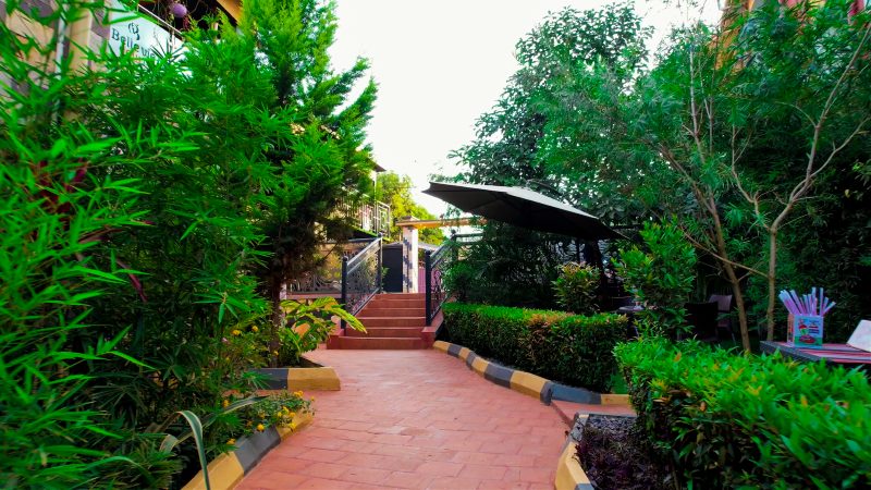 Landscaped walkway in the gardens